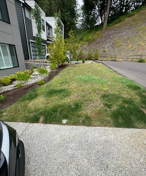 Step installation and Patios & Paver in Kirkland 